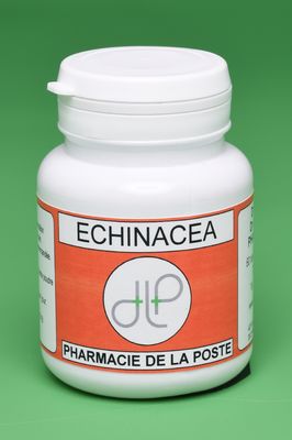 ECHINACEA