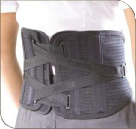 photo n°2 : LOMBOGIB® ARTRHOSE