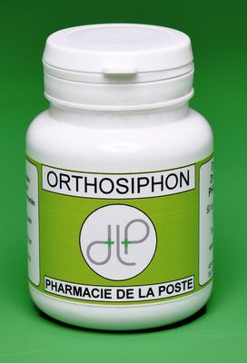 ORTHOSIPHON