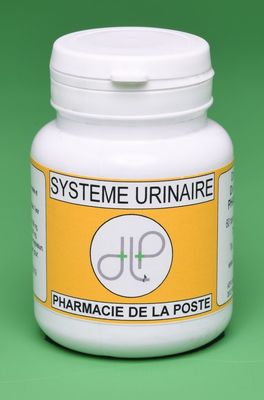 SYSTÈME URINAIRE